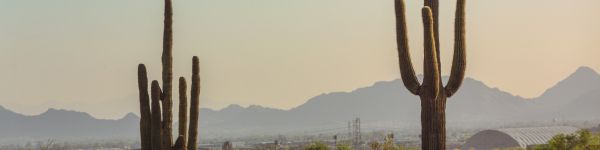 mountain ranges, cacti, USA Wallpaper 1590x400