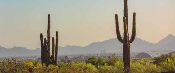 mountain ranges, cacti, USA Wallpaper 3440x1440