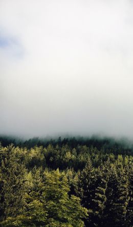 South Tyrol, Italy Wallpaper 600x1024