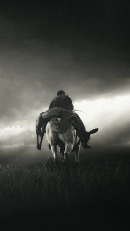 Red Dead Redemption 2, black and white Wallpaper 640x1136