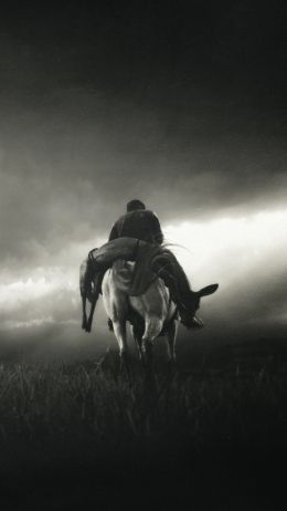 Red Dead Redemption 2, black and white Wallpaper 720x1280