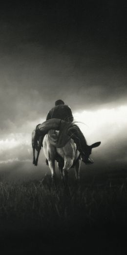 Red Dead Redemption 2, black and white Wallpaper 720x1440