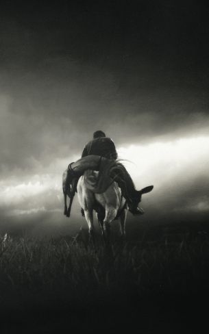 Red Dead Redemption 2, black and white Wallpaper 1600x2560
