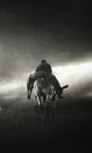 Red Dead Redemption 2, black and white Wallpaper 1200x2000