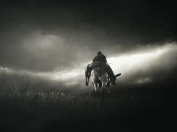 Red Dead Redemption 2, black and white Wallpaper 1024x768