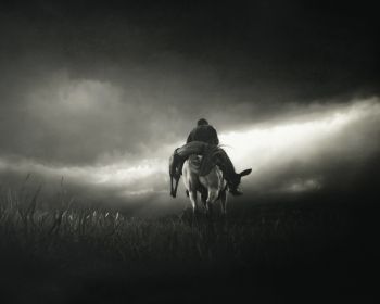Red Dead Redemption 2, black and white Wallpaper 1280x1024