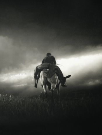 Red Dead Redemption 2, black and white Wallpaper 1620x2160