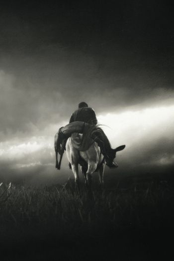 Red Dead Redemption 2, black and white Wallpaper 640x960