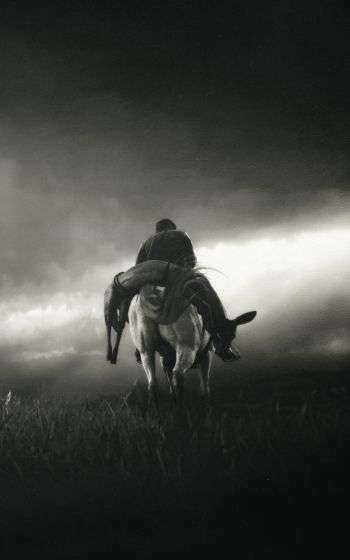 Red Dead Redemption 2, black and white Wallpaper 800x1280