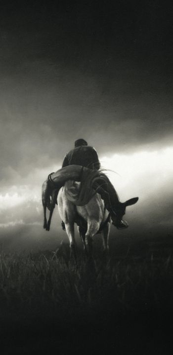 Red Dead Redemption 2, black and white Wallpaper 1080x2220