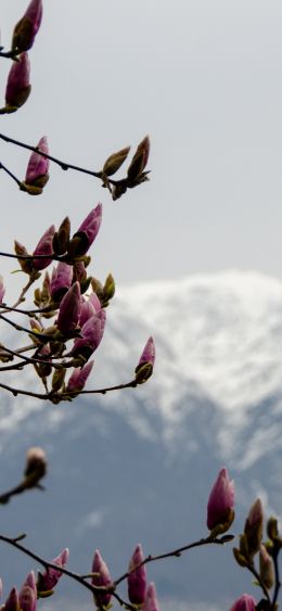 Orselina, Switzerland, landscape Wallpaper 1080x2340