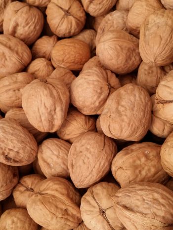 walnut Wallpaper 2048x2732