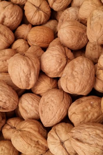 walnut Wallpaper 640x960