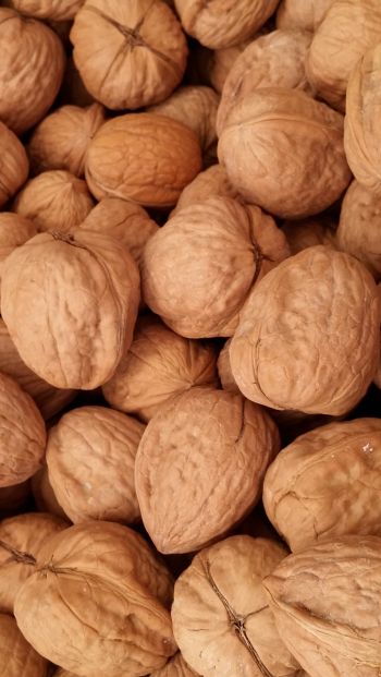 walnut Wallpaper 640x1136