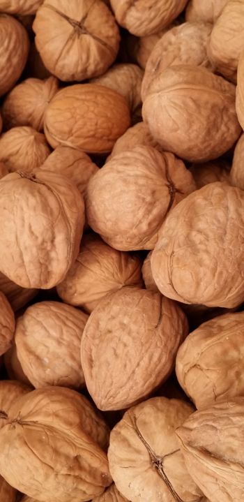 walnut Wallpaper 1080x2220
