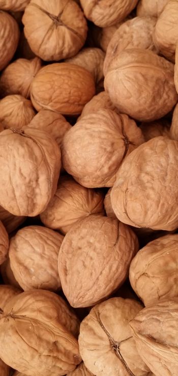 walnut Wallpaper 1080x2280
