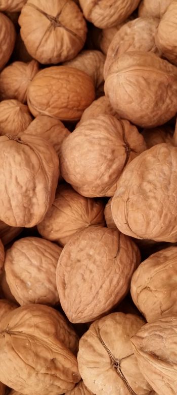 walnut Wallpaper 1080x2400