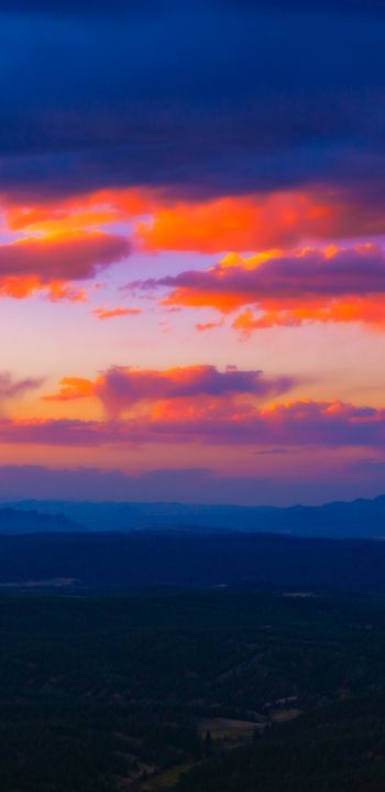 beautiful scenery, sunset Wallpaper 1080x2220
