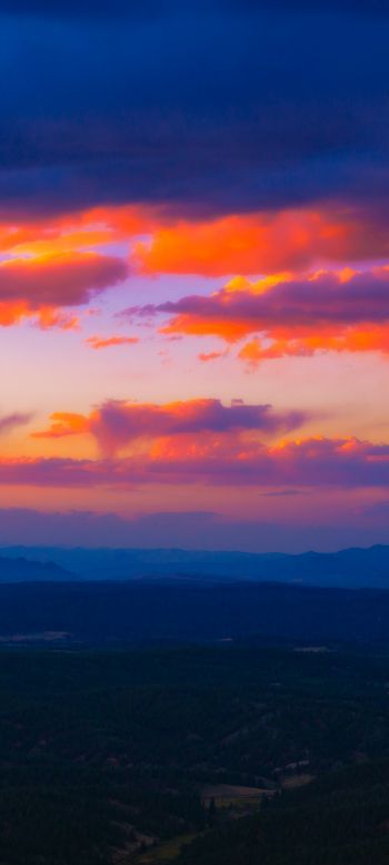 beautiful scenery, sunset Wallpaper 1440x3200
