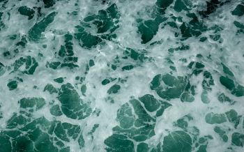 water, waves, foam Wallpaper 1920x1200