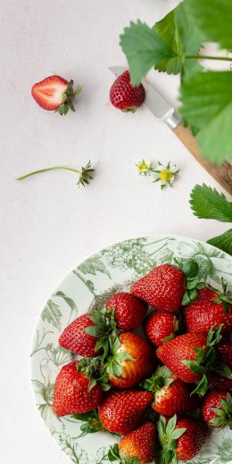 Обои 720x1440 ягоды, клубника, летнее фото