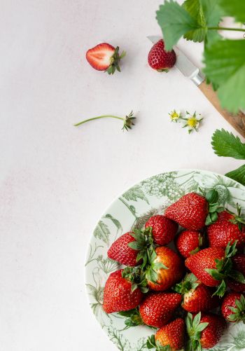 berries, strawberry, summer photo Wallpaper 1668x2388