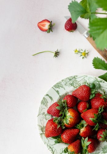 berries, strawberry, summer photo Wallpaper 1640x2360