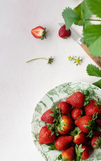 berries, strawberry, summer photo Wallpaper 1752x2800