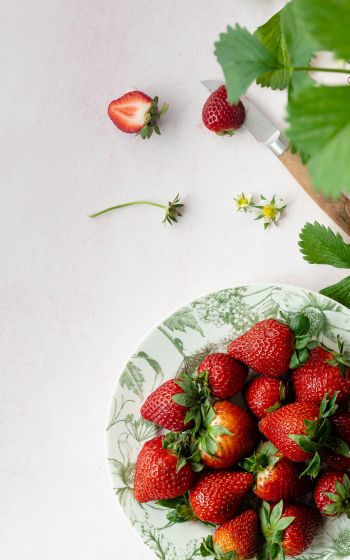 Обои 1600x2560 ягоды, клубника, летнее фото