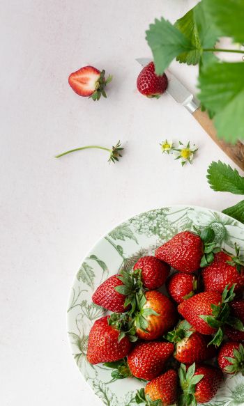 berries, strawberry, summer photo Wallpaper 1200x2000