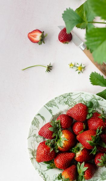 berries, strawberry, summer photo Wallpaper 600x1024