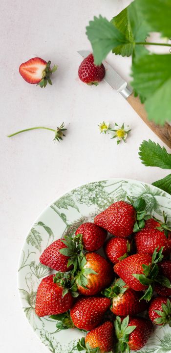 berries, strawberry, summer photo Wallpaper 1440x2960
