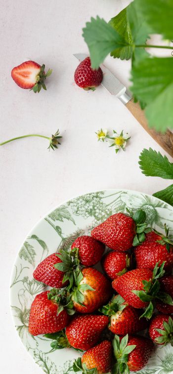 berries, strawberry, summer photo Wallpaper 828x1792