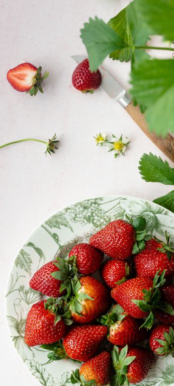 berries, strawberry, summer photo Wallpaper 1440x3200