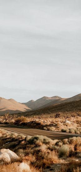 California, USA, desert landscape Wallpaper 1440x3040