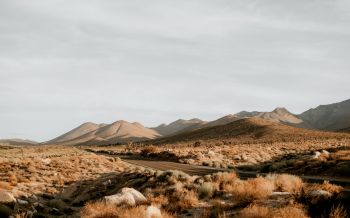 California, USA, desert landscape Wallpaper 2560x1600