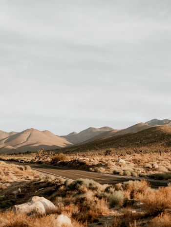 California, USA, desert landscape Wallpaper 1620x2160