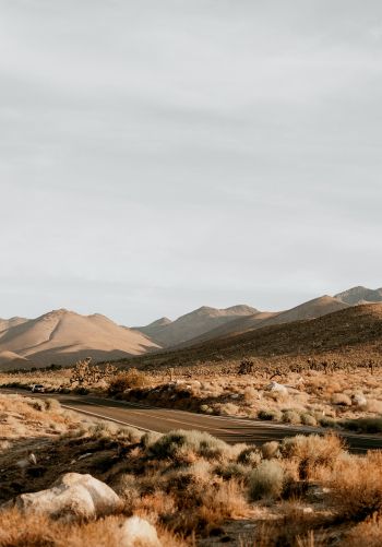 California, USA, desert landscape Wallpaper 1668x2388