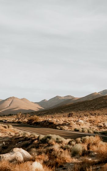 Обои 800x1280 Калифорния, США, пустынный пейзаж