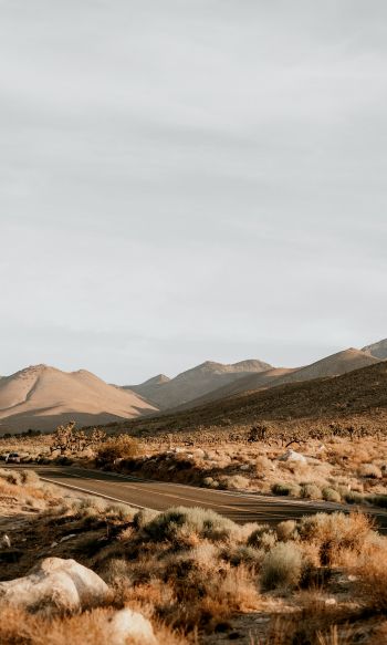 California, USA, desert landscape Wallpaper 1200x2000