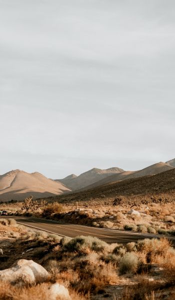 California, USA, desert landscape Wallpaper 600x1024