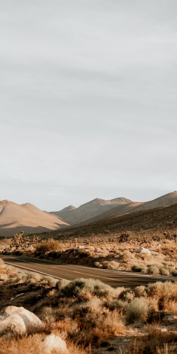 California, USA, desert landscape Wallpaper 720x1440
