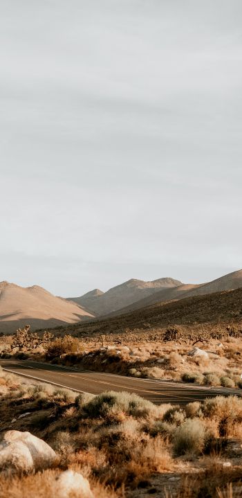 California, USA, desert landscape Wallpaper 1080x2220
