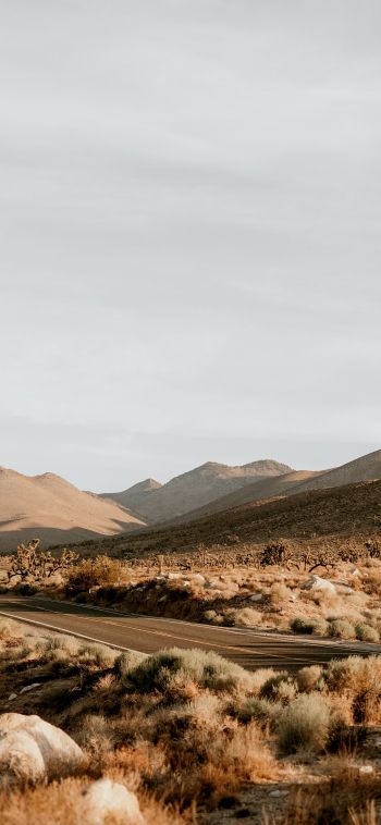 California, USA, desert landscape Wallpaper 1080x2340