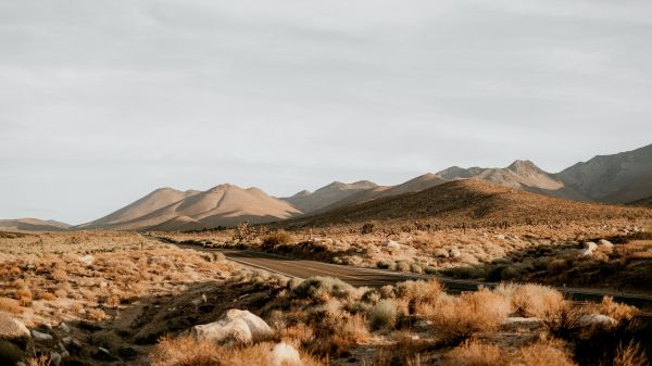 California, USA, desert landscape Wallpaper 2560x1440