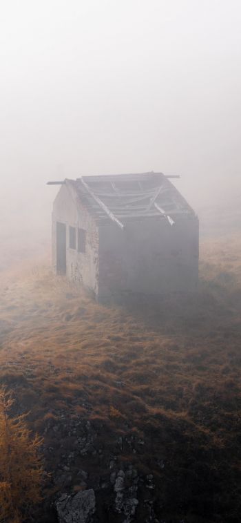 lonely barn, empty Wallpaper 828x1792