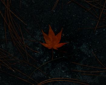 brown maple leaf, autumn Wallpaper 1280x1024
