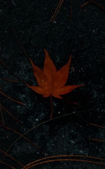 brown maple leaf, autumn Wallpaper 1200x1920