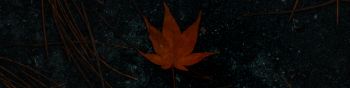brown maple leaf, autumn Wallpaper 1590x400