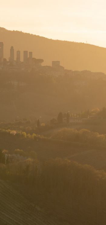 province of Siena, Italy, over the city Wallpaper 1440x3040